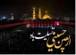 یا ثار الله و ابن ثاره به شوق زیارت صحن و سرای جان فزایت اربعین شهادتت را به سوگ می نشینیم